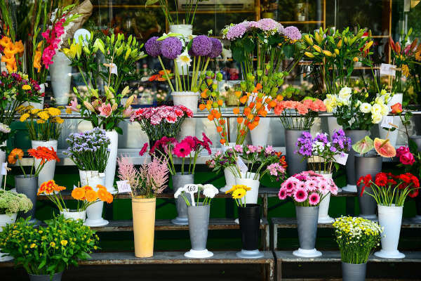 fleuriste